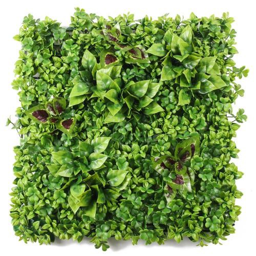 מפעל מלאכותי העלווה של קיר האוויר