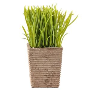 עציצים מלאכותיים